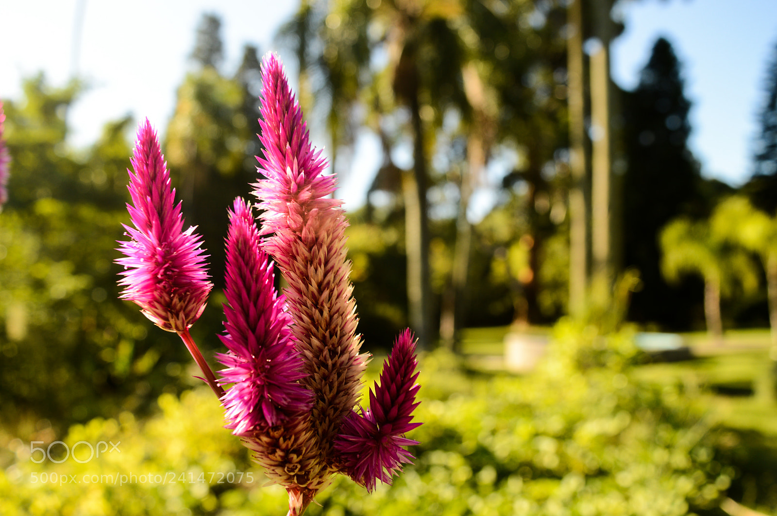 Nikon D3200 sample photo. Untitled photography