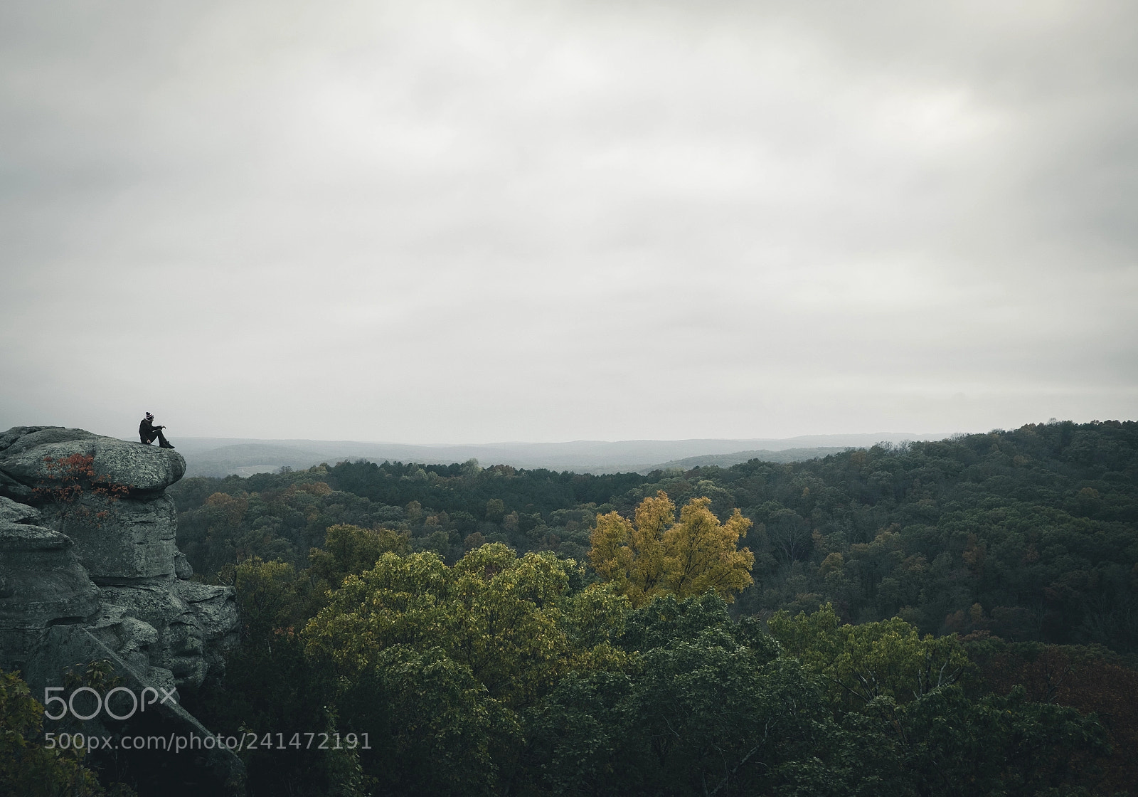 Fujifilm X-T2 sample photo. Untitled photography