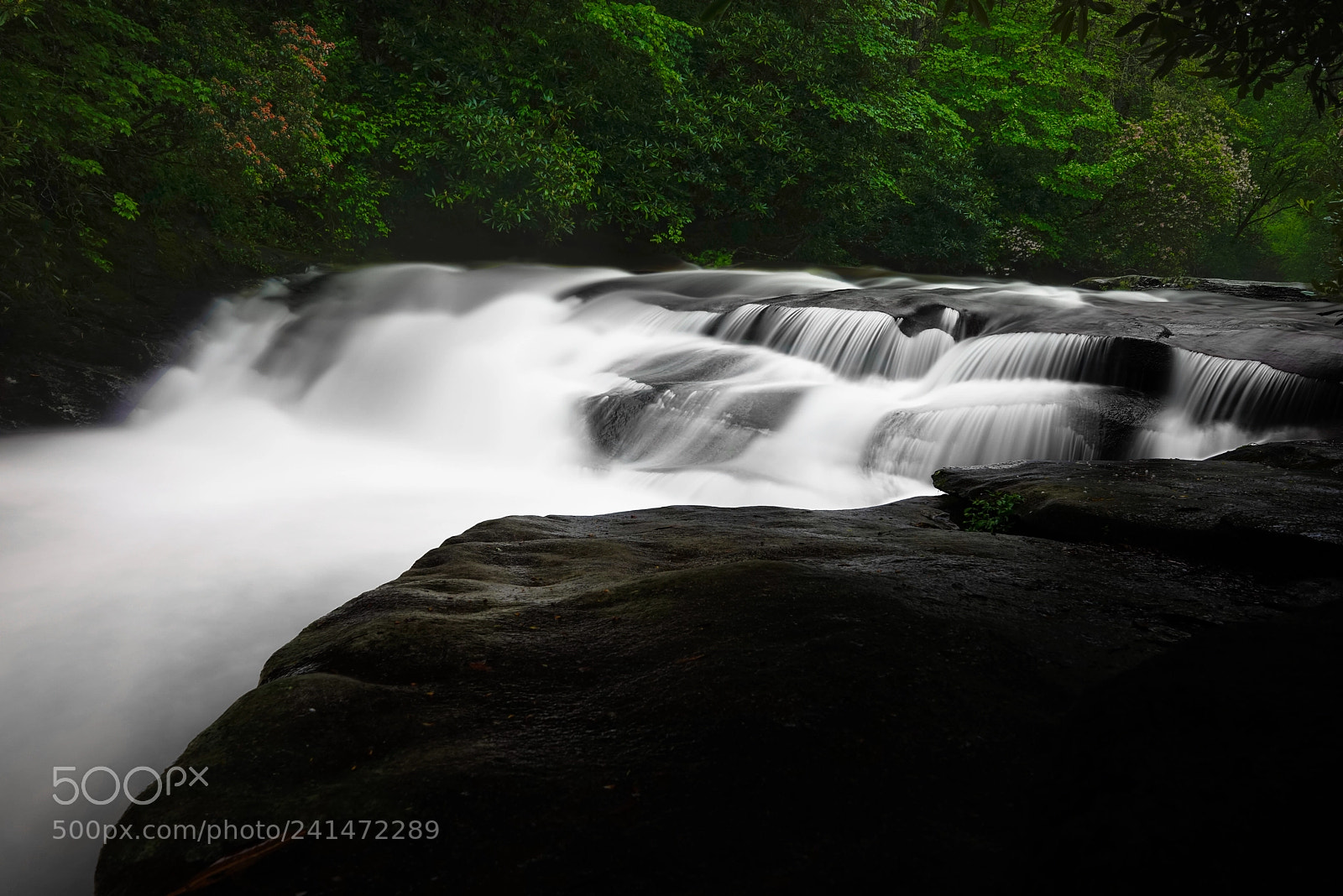 Sony a7R sample photo. Peace photography