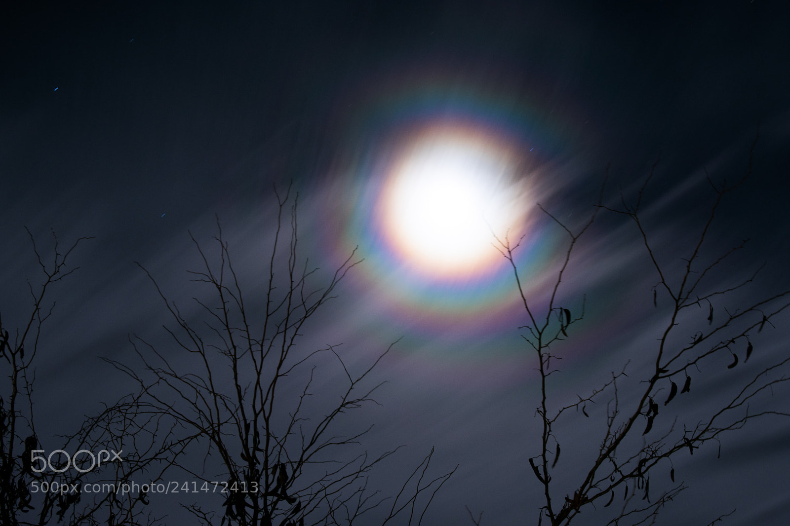 Nikon D3400 sample photo. Rainbow aura photography