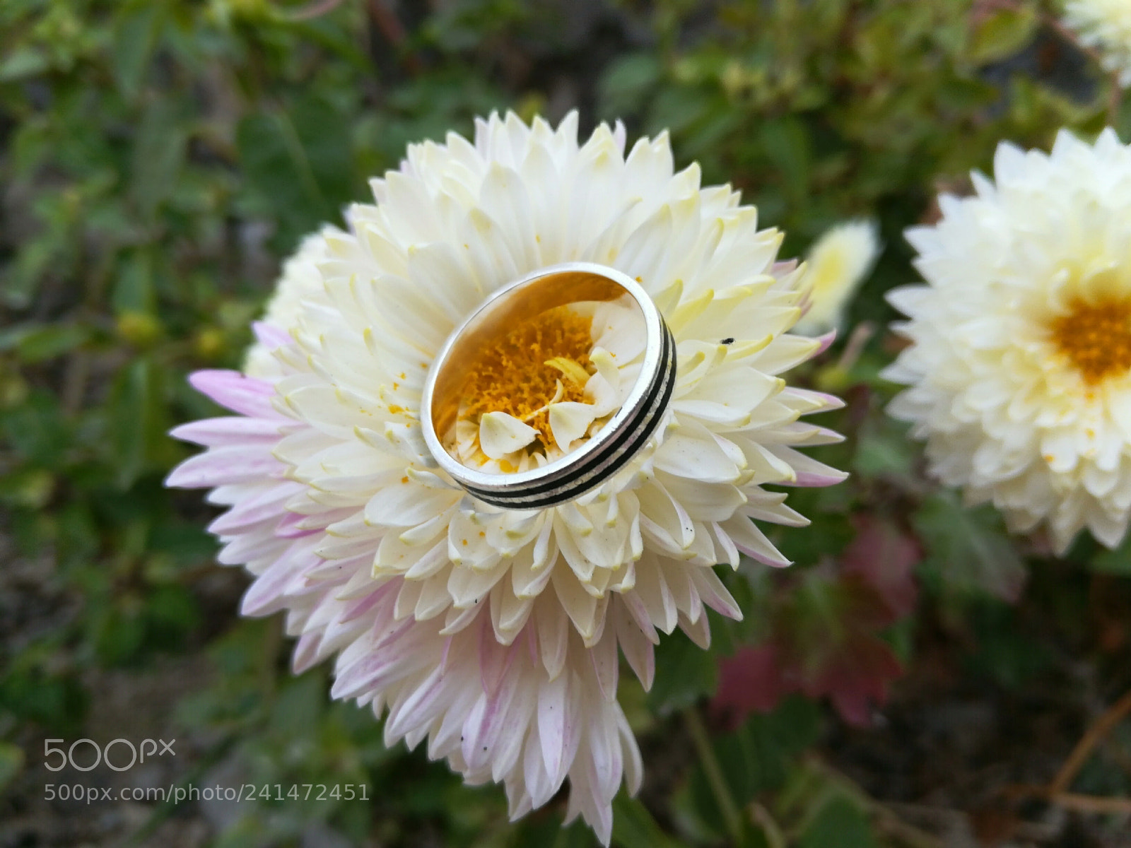 HUAWEI GR5 2017 sample photo. Untitled photography