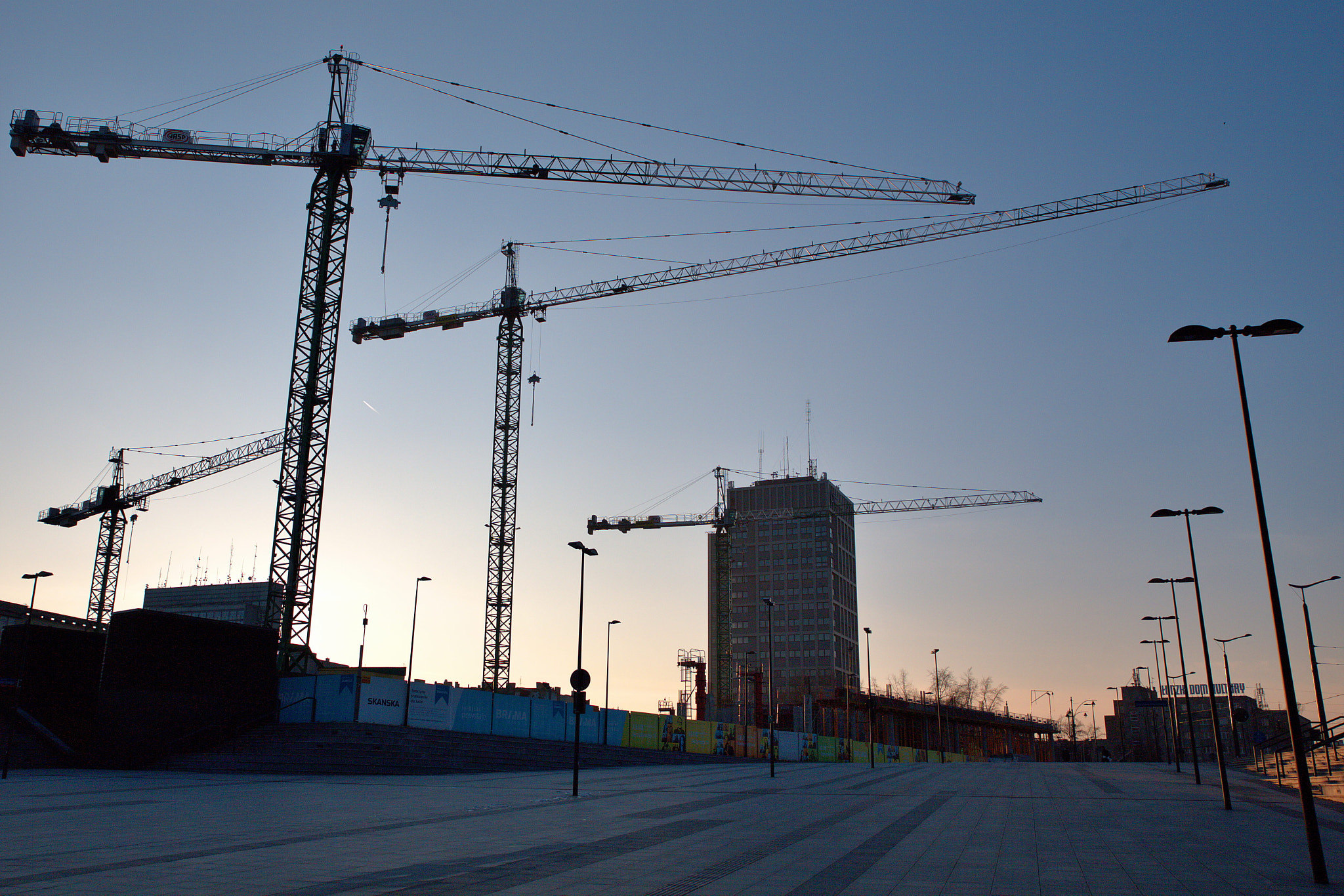 Canon EF 300mm F2.8L IS II USM sample photo. Cranes photography