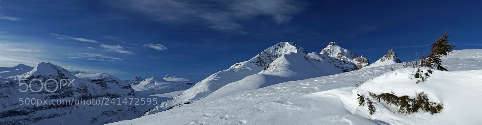 Sony a7 II sample photo. Columbia icefield photography
