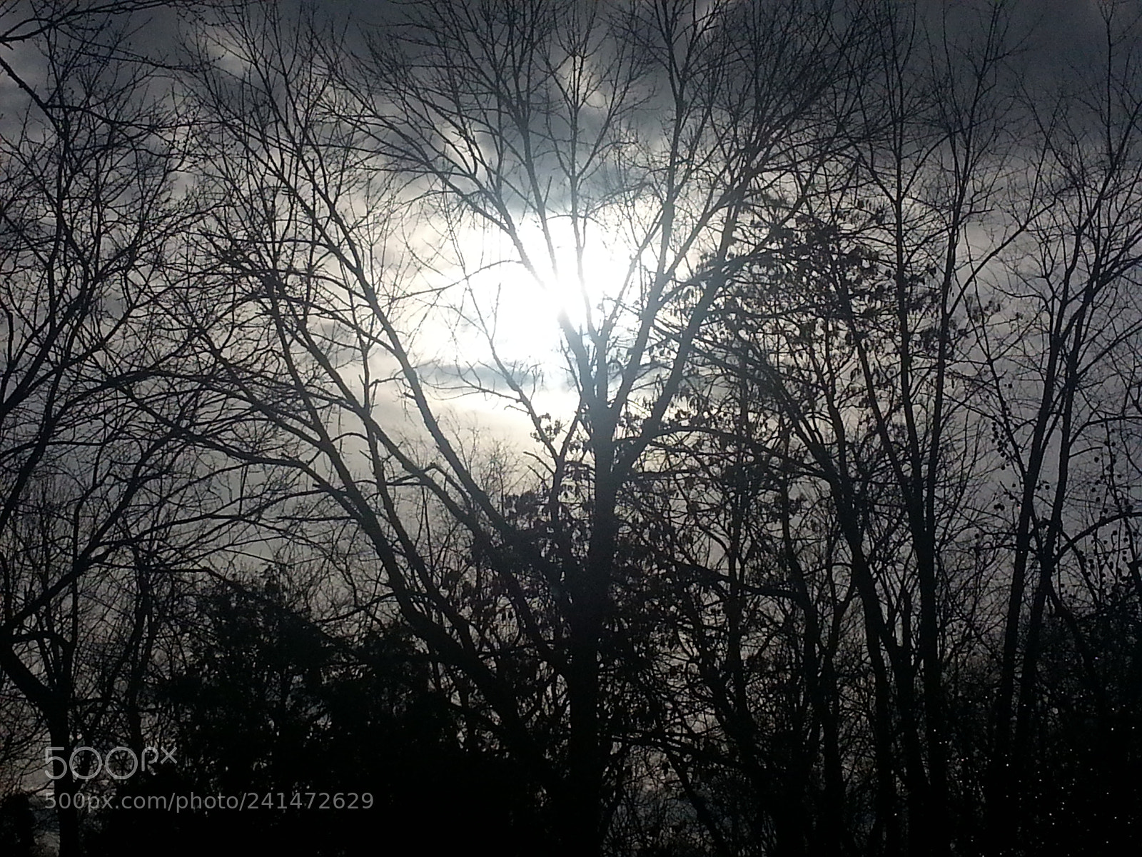 Samsung Galaxy Note2 sample photo. Untitled photography