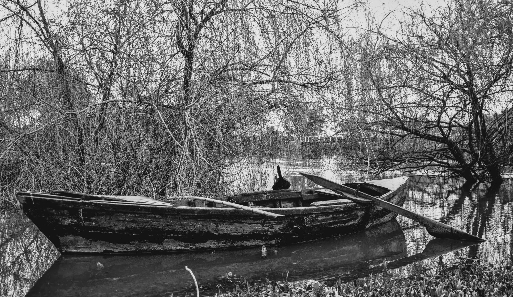 Nikon D5000 sample photo. The boat! photography