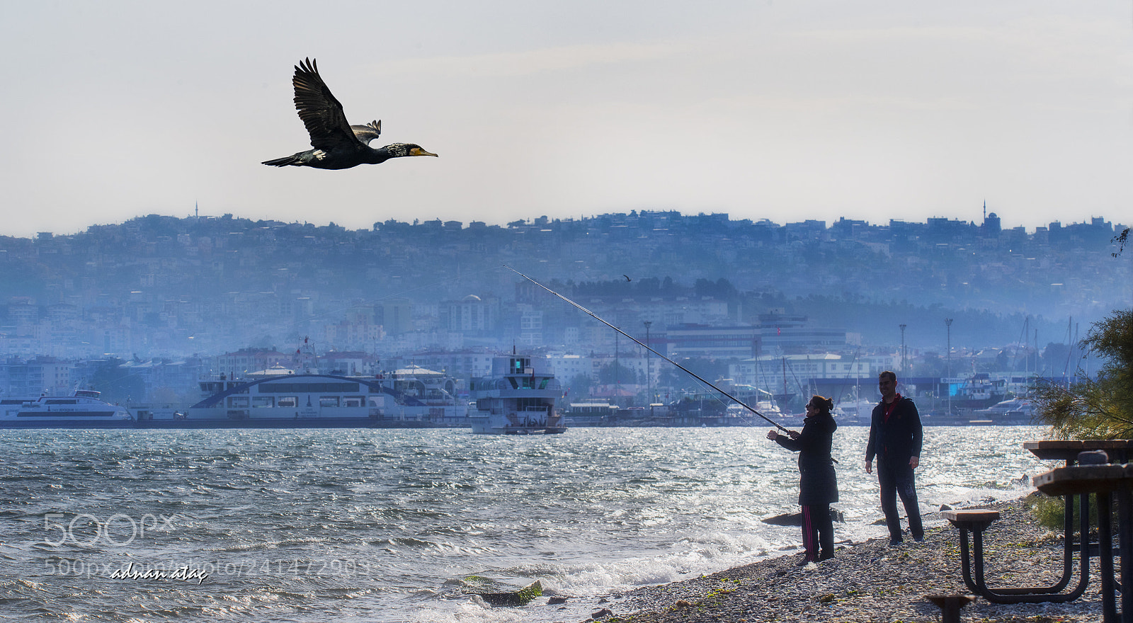 Nikon D5 sample photo. Zmir ve karabatak great photography