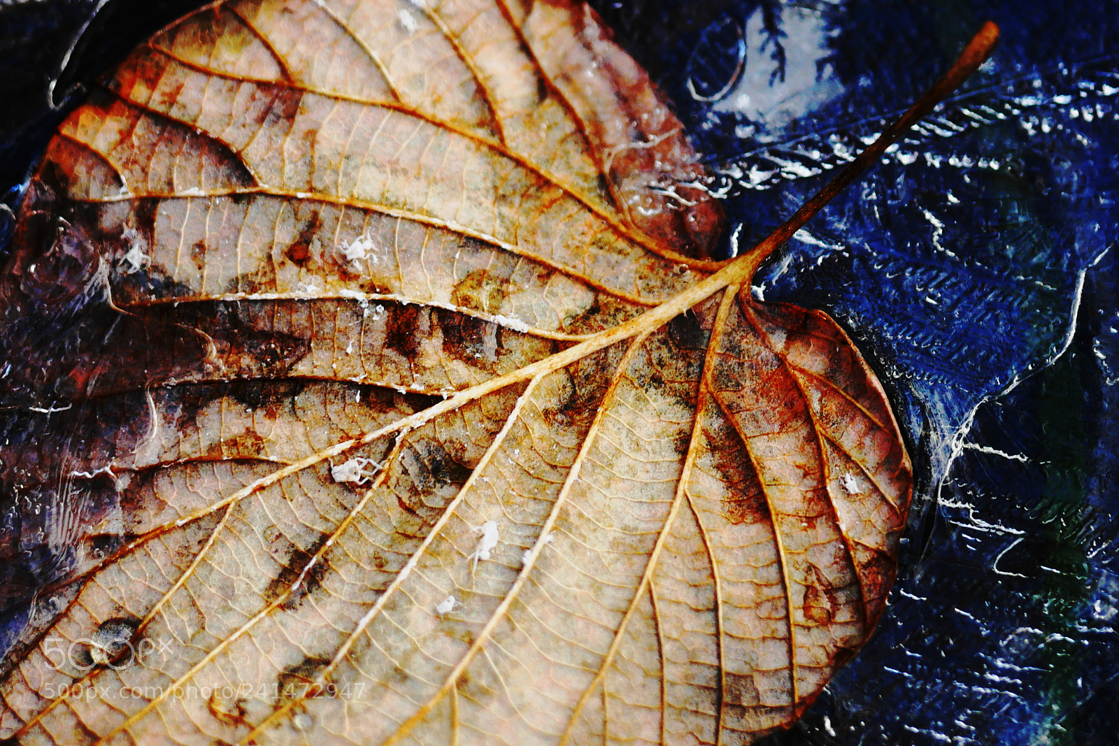 Panasonic Lumix DMC-GX8 sample photo. In decay photography