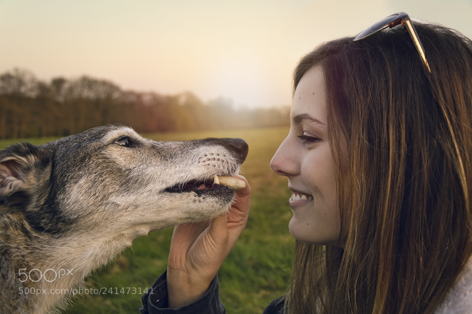 Nikon D7100 sample photo. Grace and basil photography
