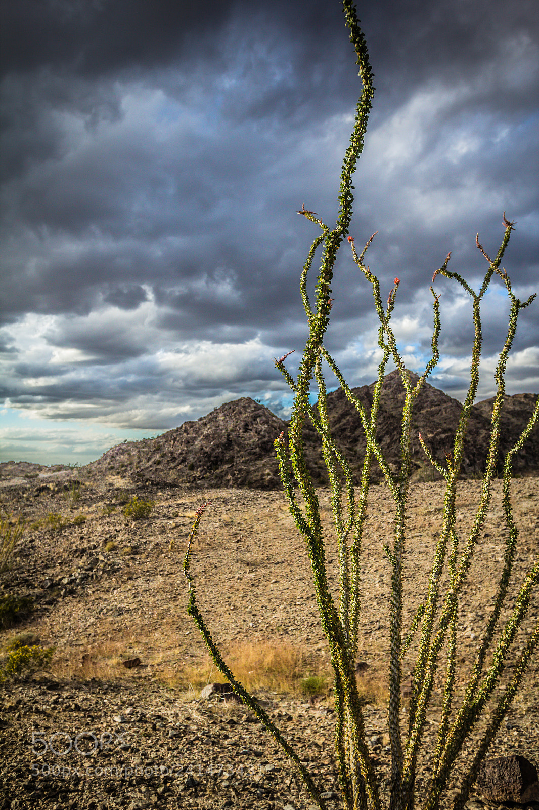 Canon EOS 60D sample photo. Dark desert photography
