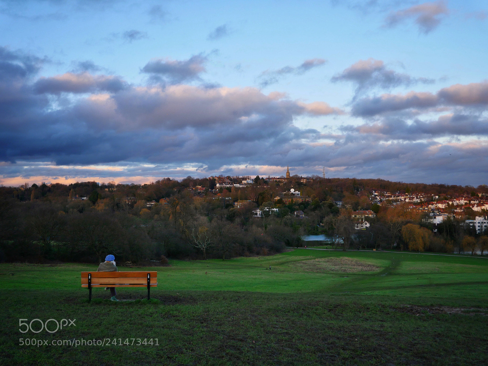 Panasonic Lumix DMC-GX8 sample photo. Hampstead heath photography