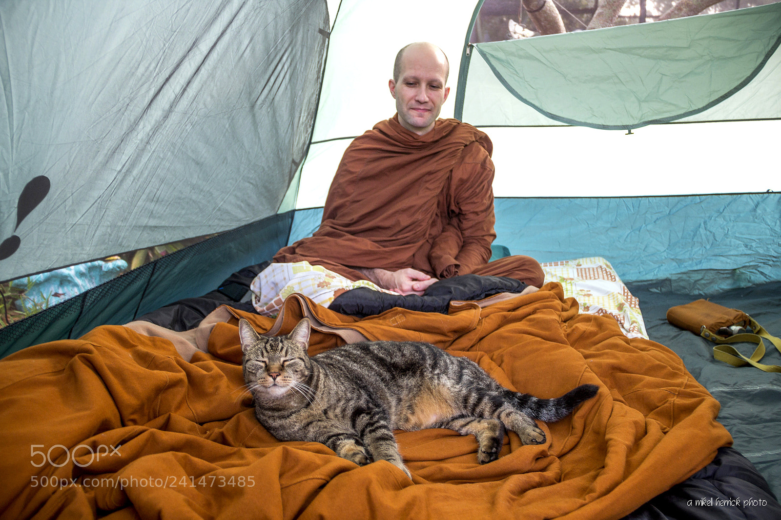 Canon EOS 60D sample photo. Monk & cat room mates photography