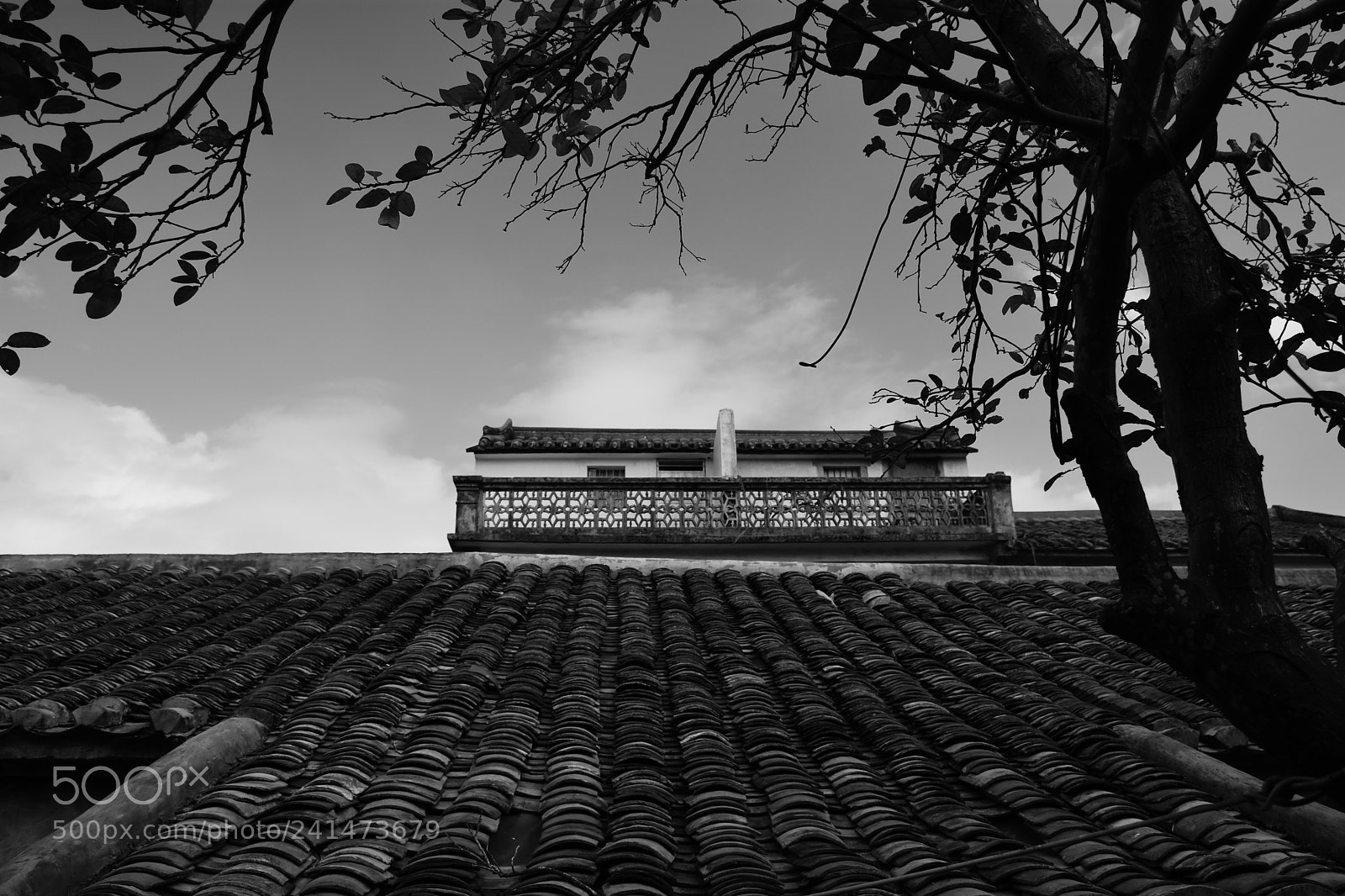 Nikon D7200 sample photo. 岭南民居 photography