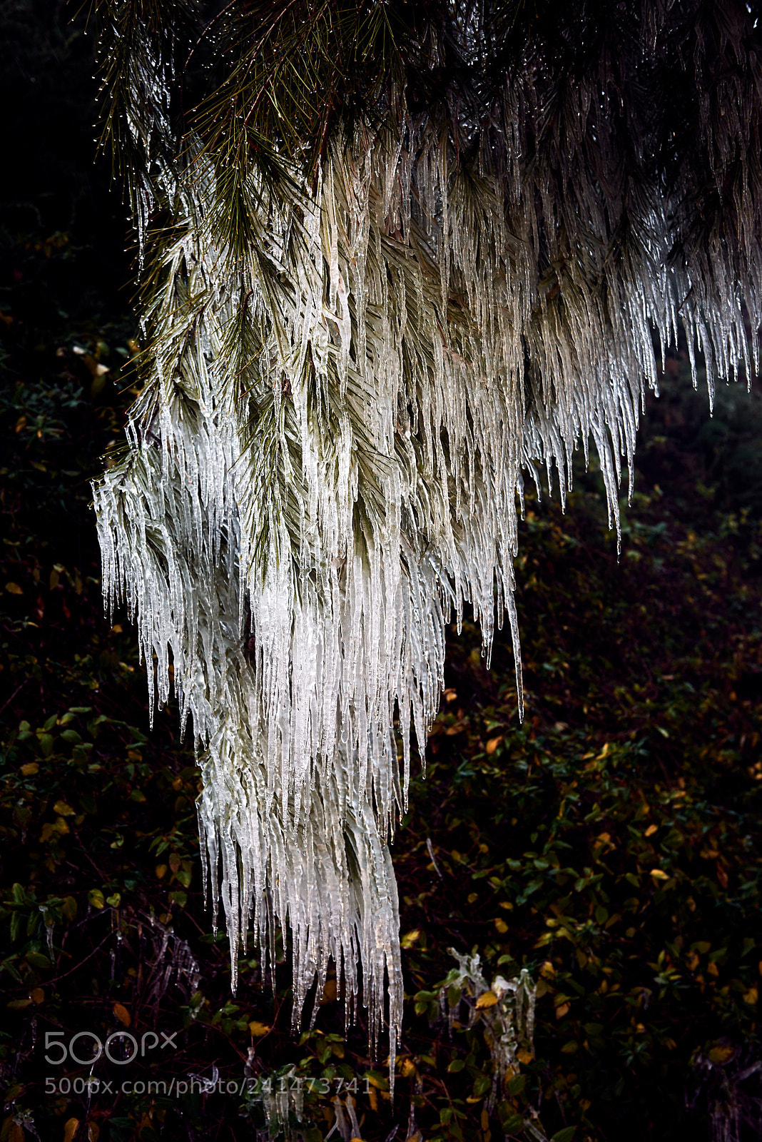 Nikon D810 sample photo. Gravity photography