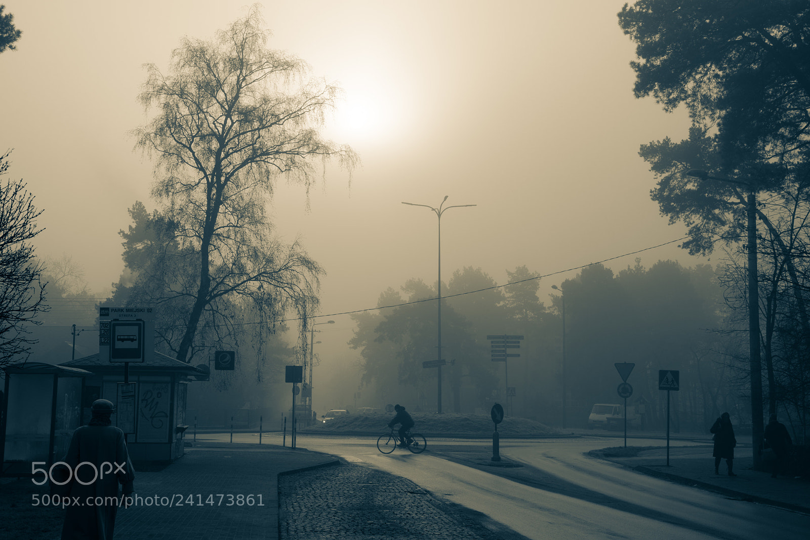Nikon D7200 sample photo. Foggy otwock photography