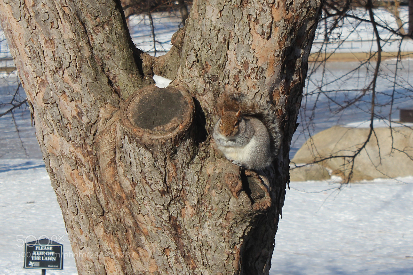 Canon EOS 600D (Rebel EOS T3i / EOS Kiss X5) sample photo. Hidden photography