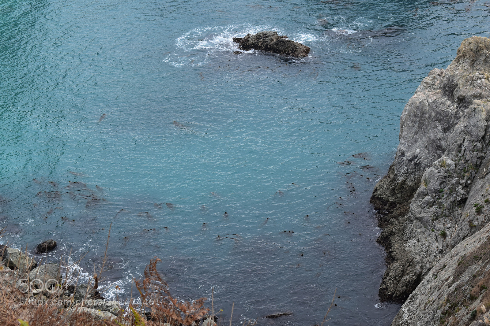 Nikon D5600 sample photo. Shore photography