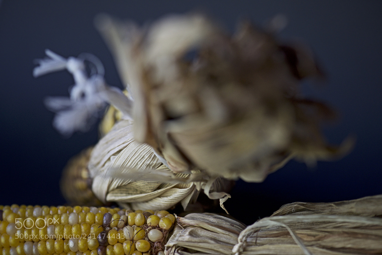 Nikon D810 sample photo. Untitled photography