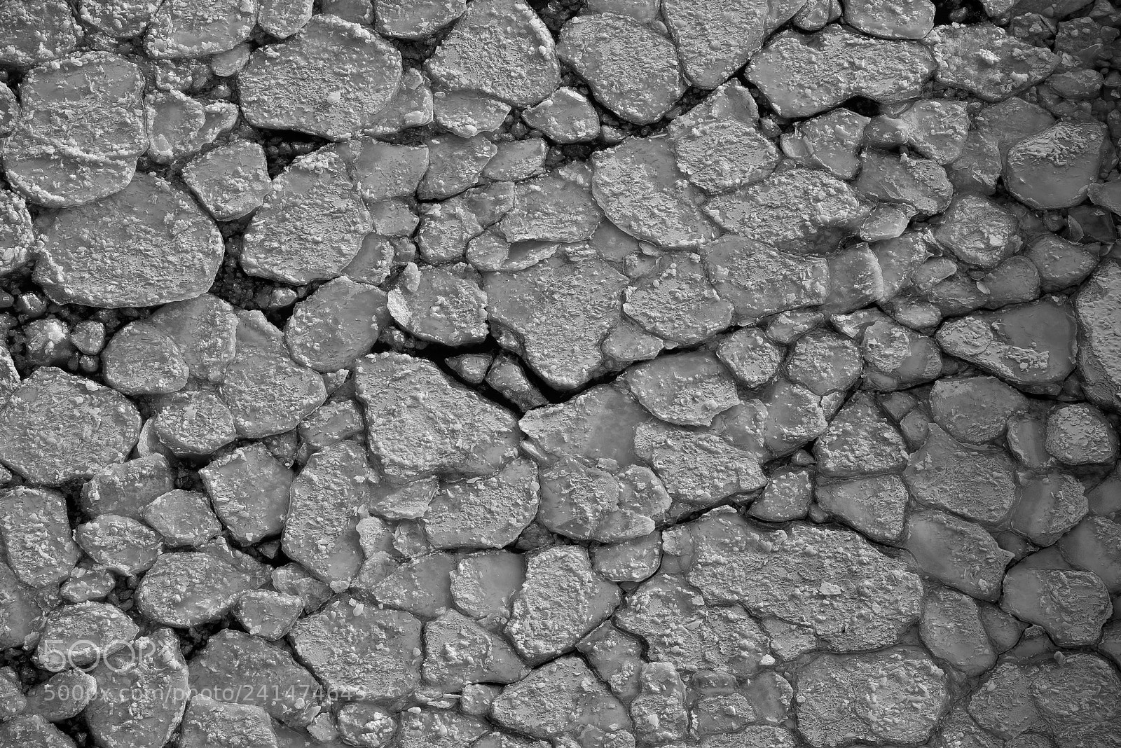 Nikon D800 sample photo. Winter pavement photography