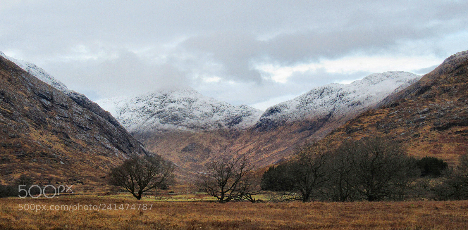 Canon PowerShot SX620 HS sample photo. Glen tarbert photography