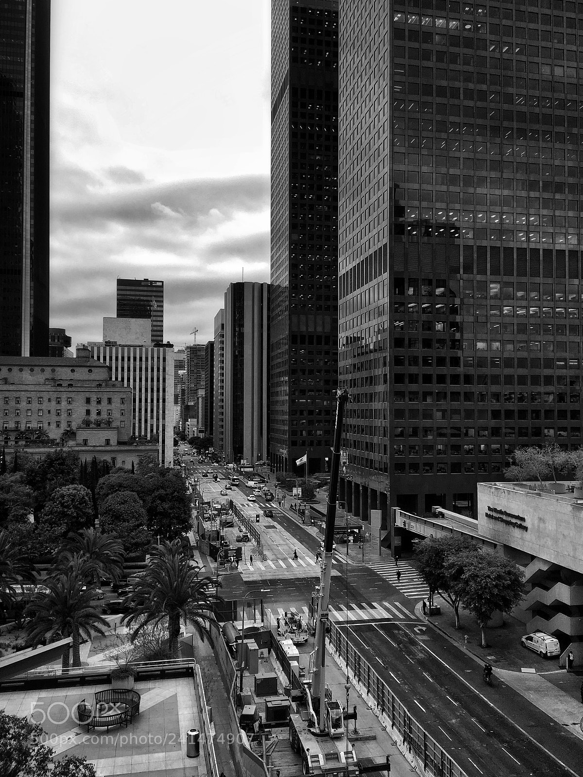 Apple iPad Pro sample photo. Controlled chaos photography