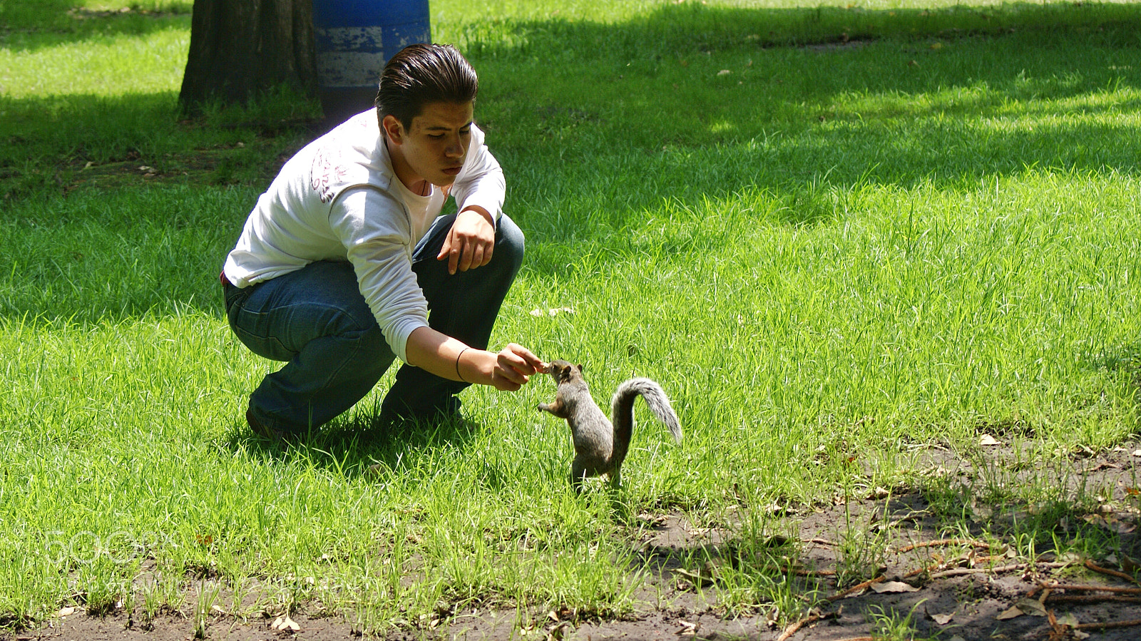 Sony Alpha DSLR-A100 sample photo. Naturaleza viva photography