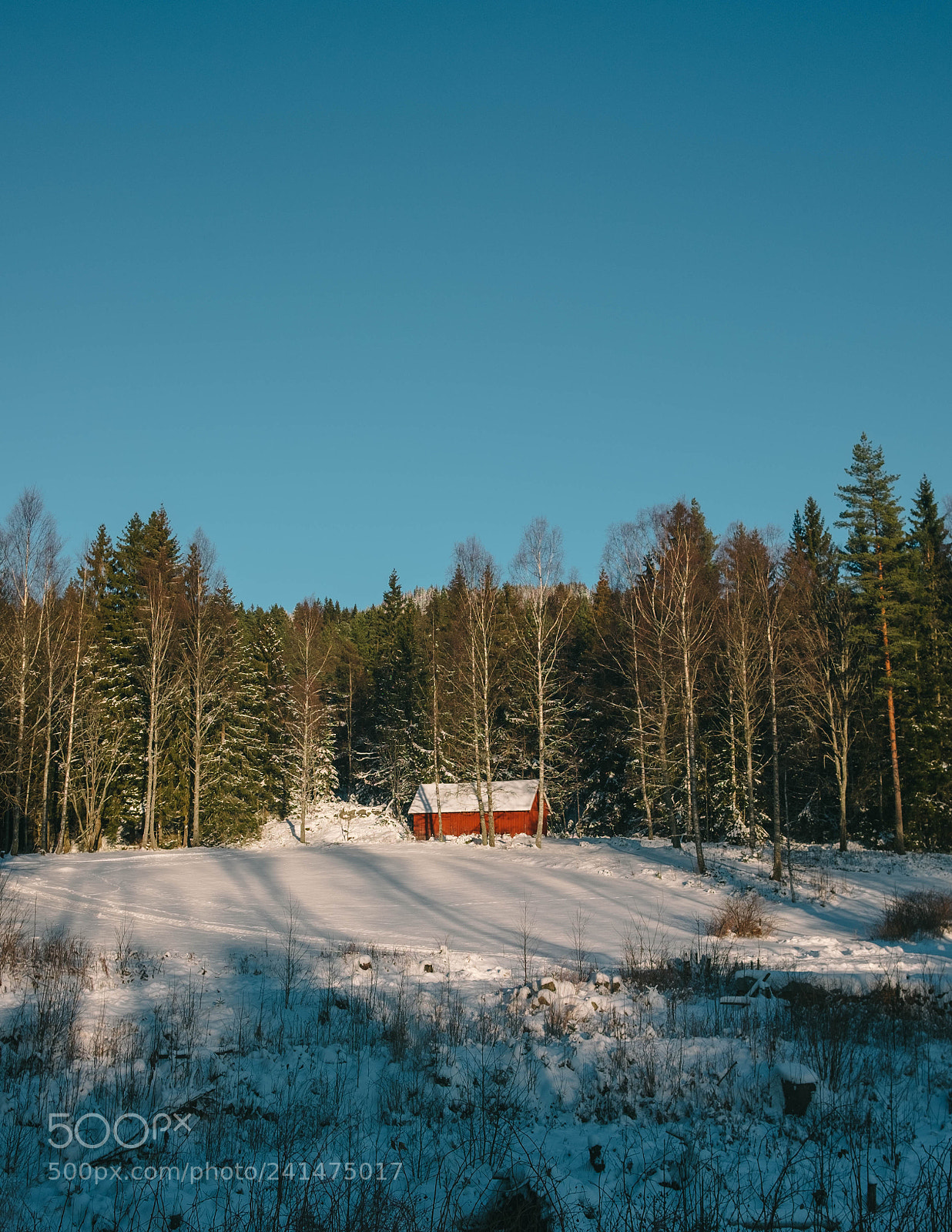 Fujifilm X-T1 sample photo. Øyungen photography