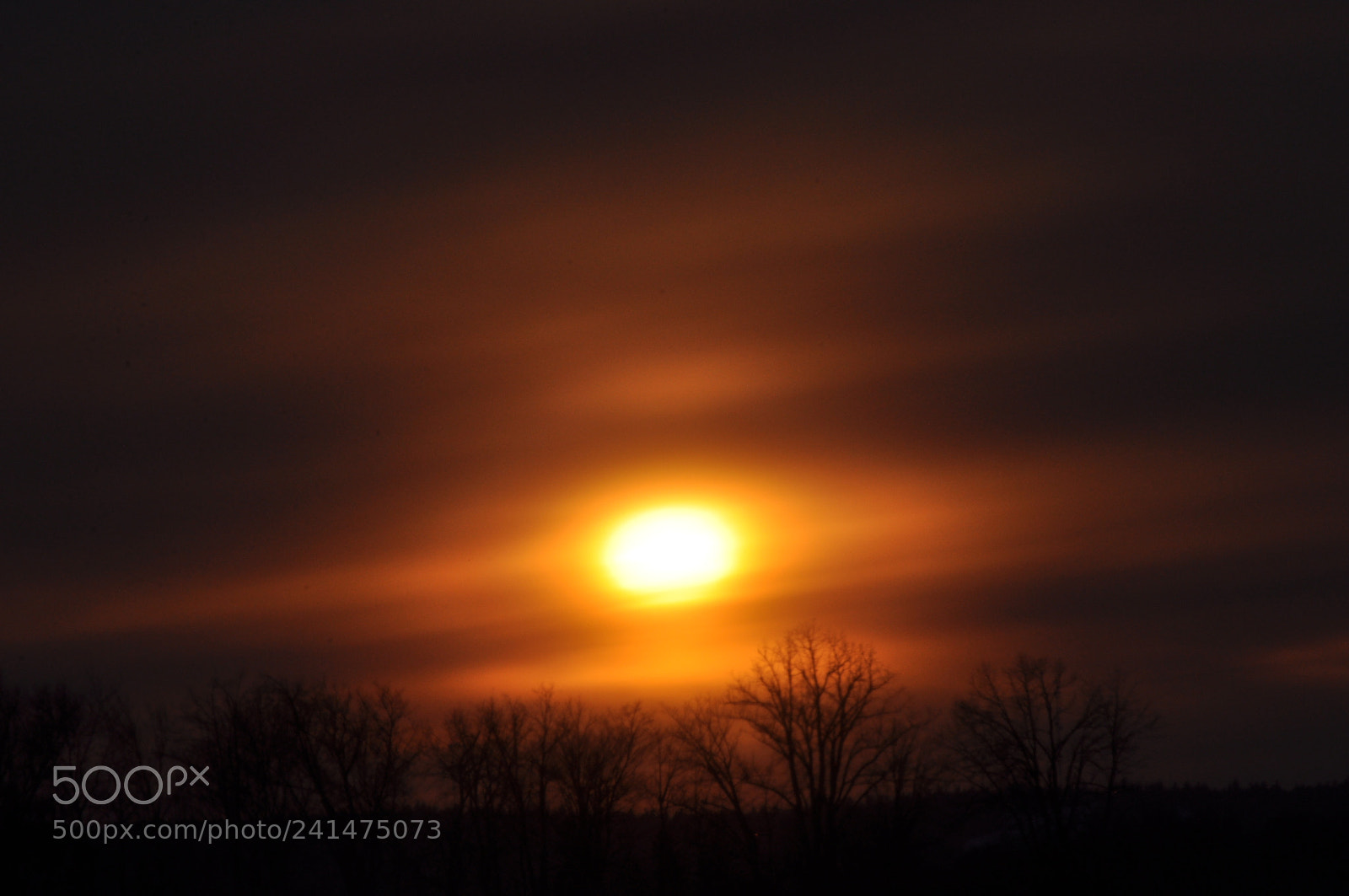 Nikon D5000 sample photo. Frosty sunset photography