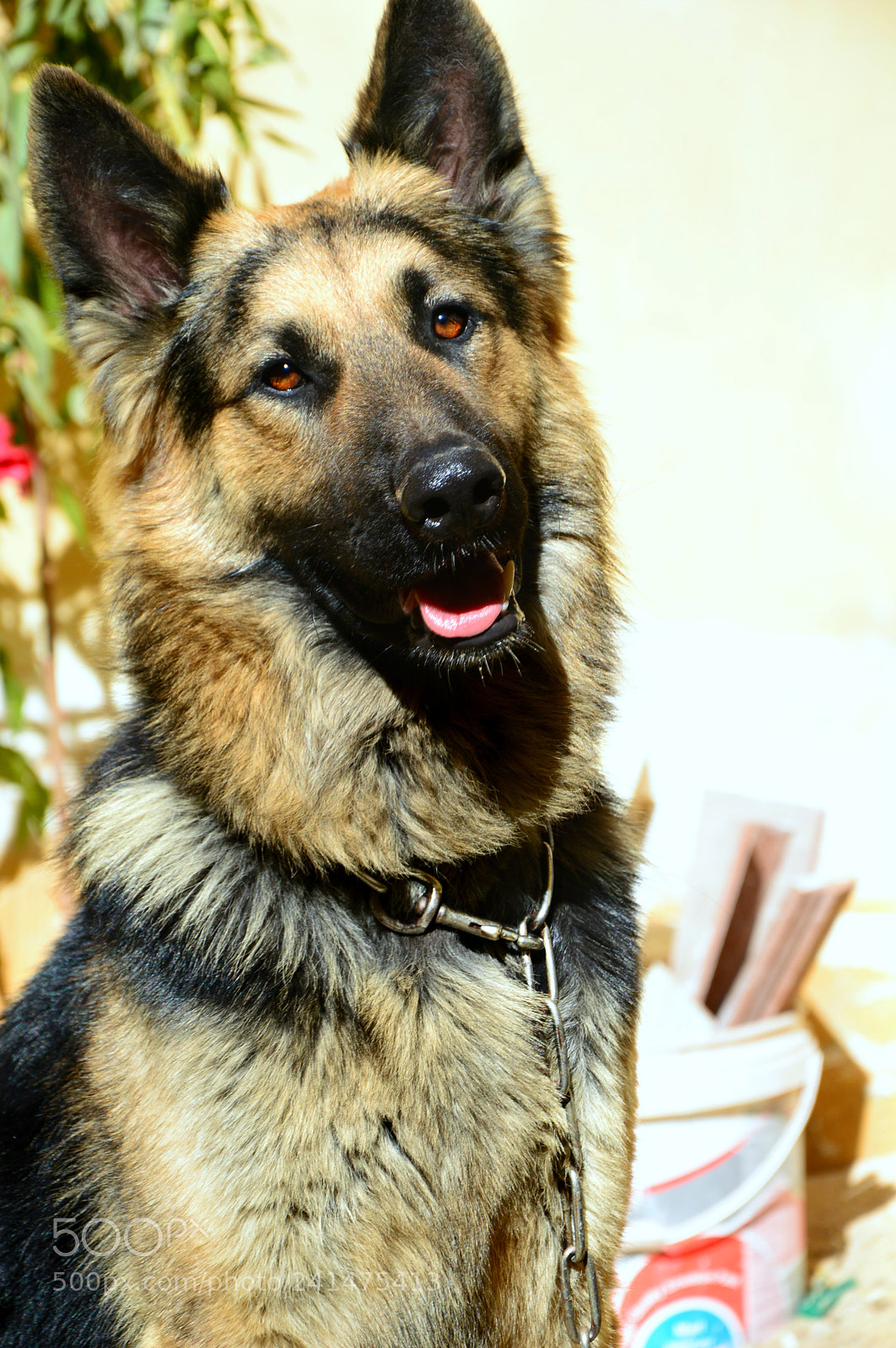 Nikon D3200 sample photo. Dsc photography
