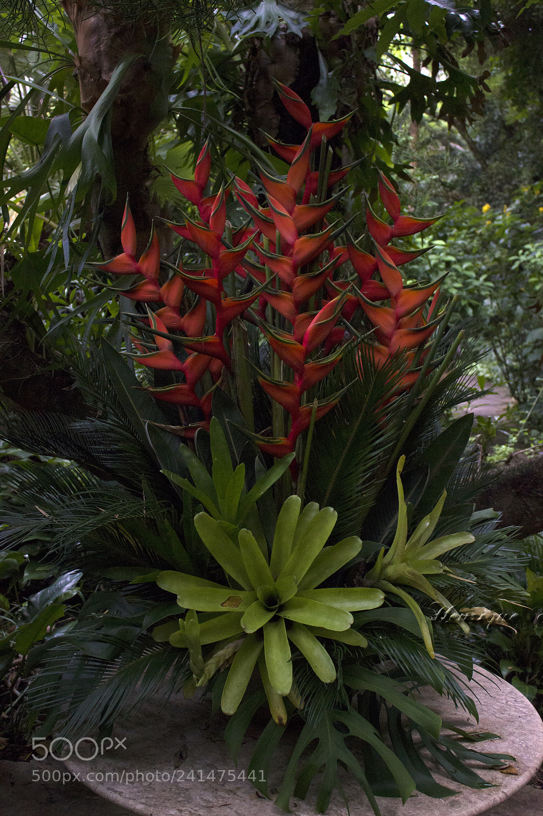 Canon EOS 600D (Rebel EOS T3i / EOS Kiss X5) sample photo. Flores photography