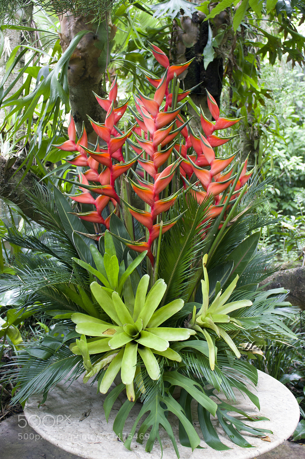 Canon EOS 600D (Rebel EOS T3i / EOS Kiss X5) sample photo. Flores photography