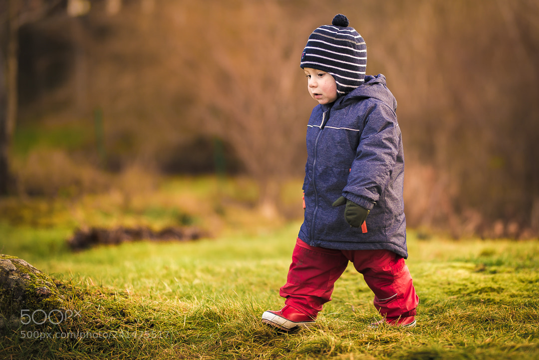 Nikon D800 sample photo. In the park photography