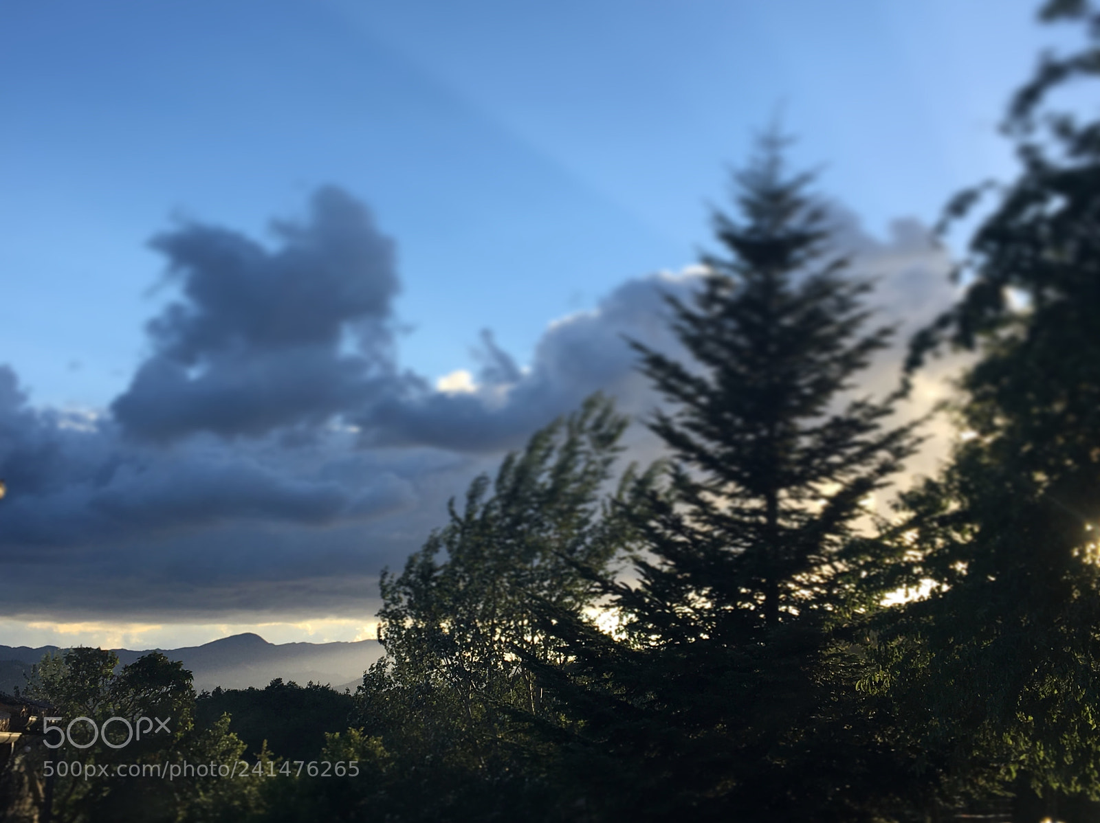 Apple iPhone 6s sample photo. Panorama... photography