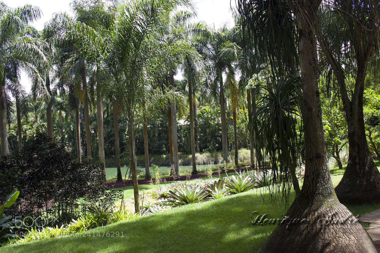 Canon EOS 600D (Rebel EOS T3i / EOS Kiss X5) sample photo. Flores photography