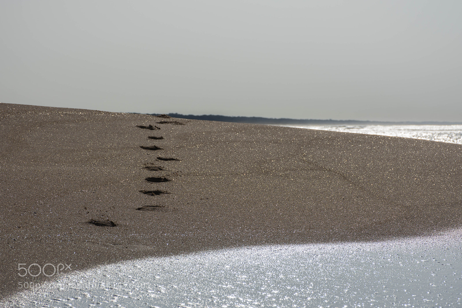 Nikon D7200 sample photo. Untitled photography