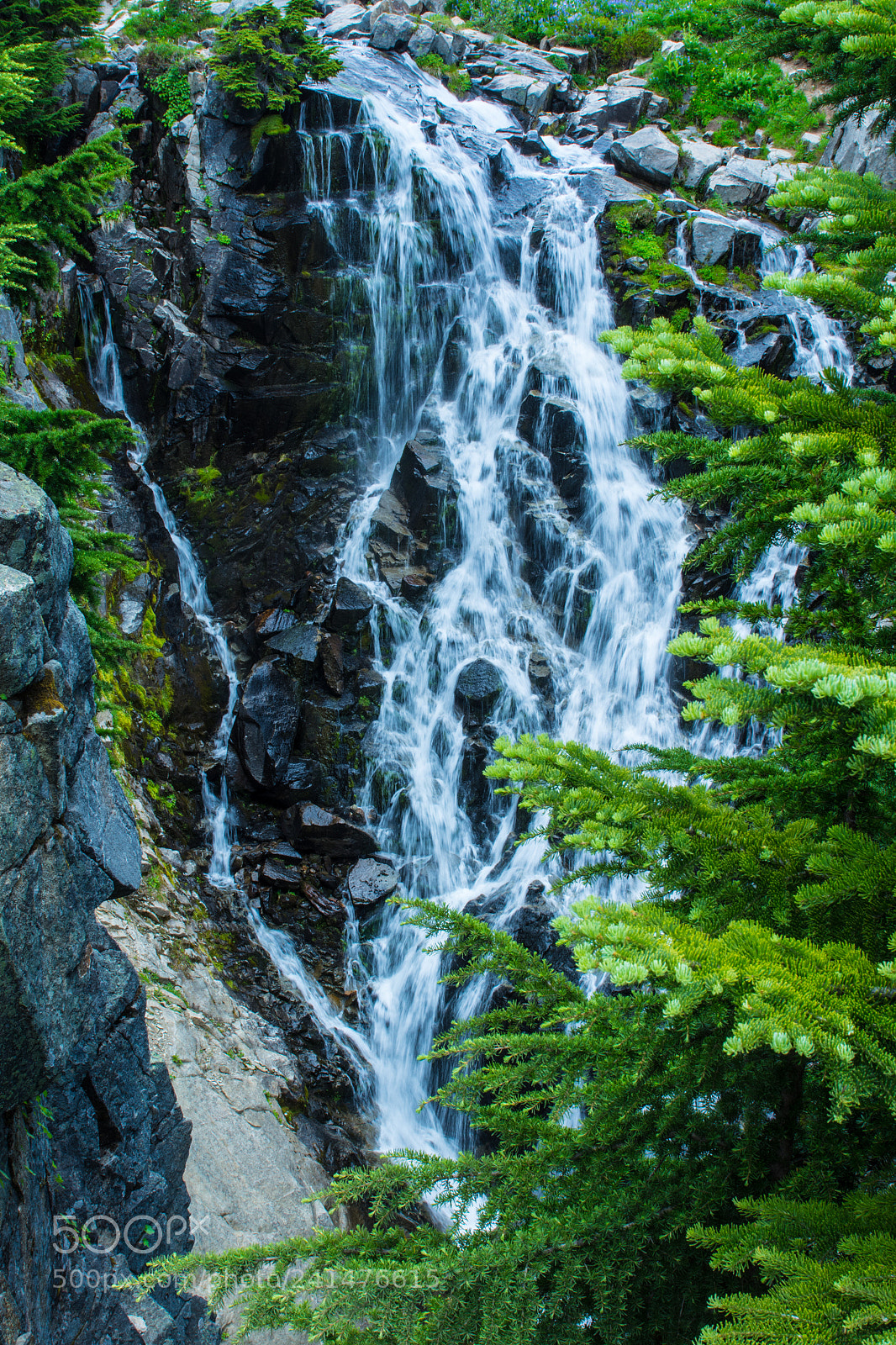 Nikon D7100 sample photo. Myrtle falls - mount photography
