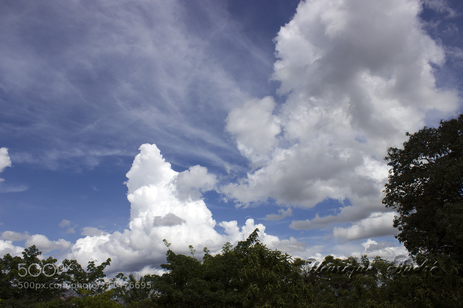 Canon EOS 600D (Rebel EOS T3i / EOS Kiss X5) sample photo. Flores photography