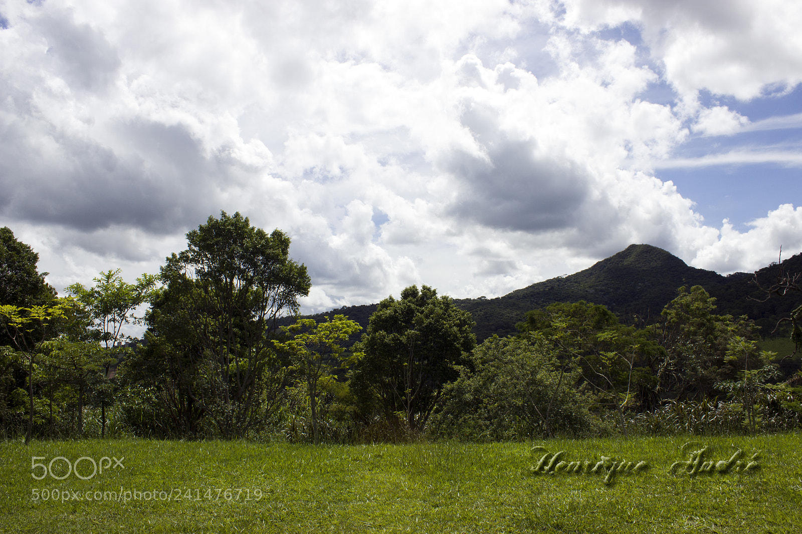 Canon EOS 600D (Rebel EOS T3i / EOS Kiss X5) sample photo. Flores photography