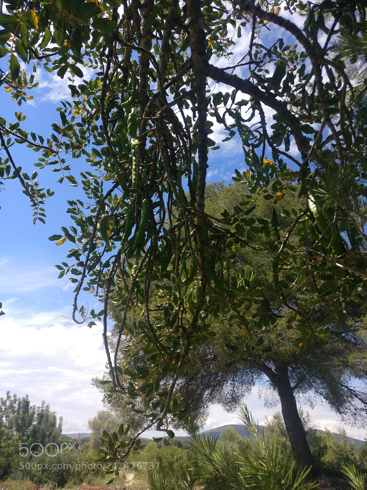 OnePlus A3003 sample photo. Img_20170518_145007.jpg photography
