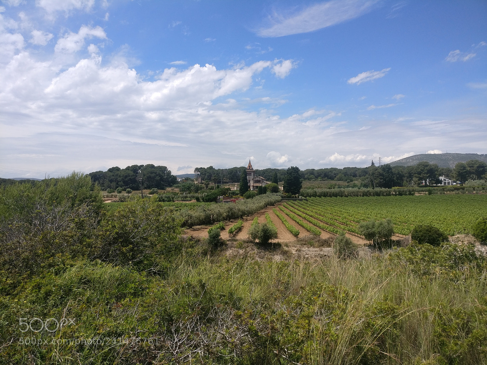 OnePlus A3003 sample photo. Img_20170518_144333.jpg photography