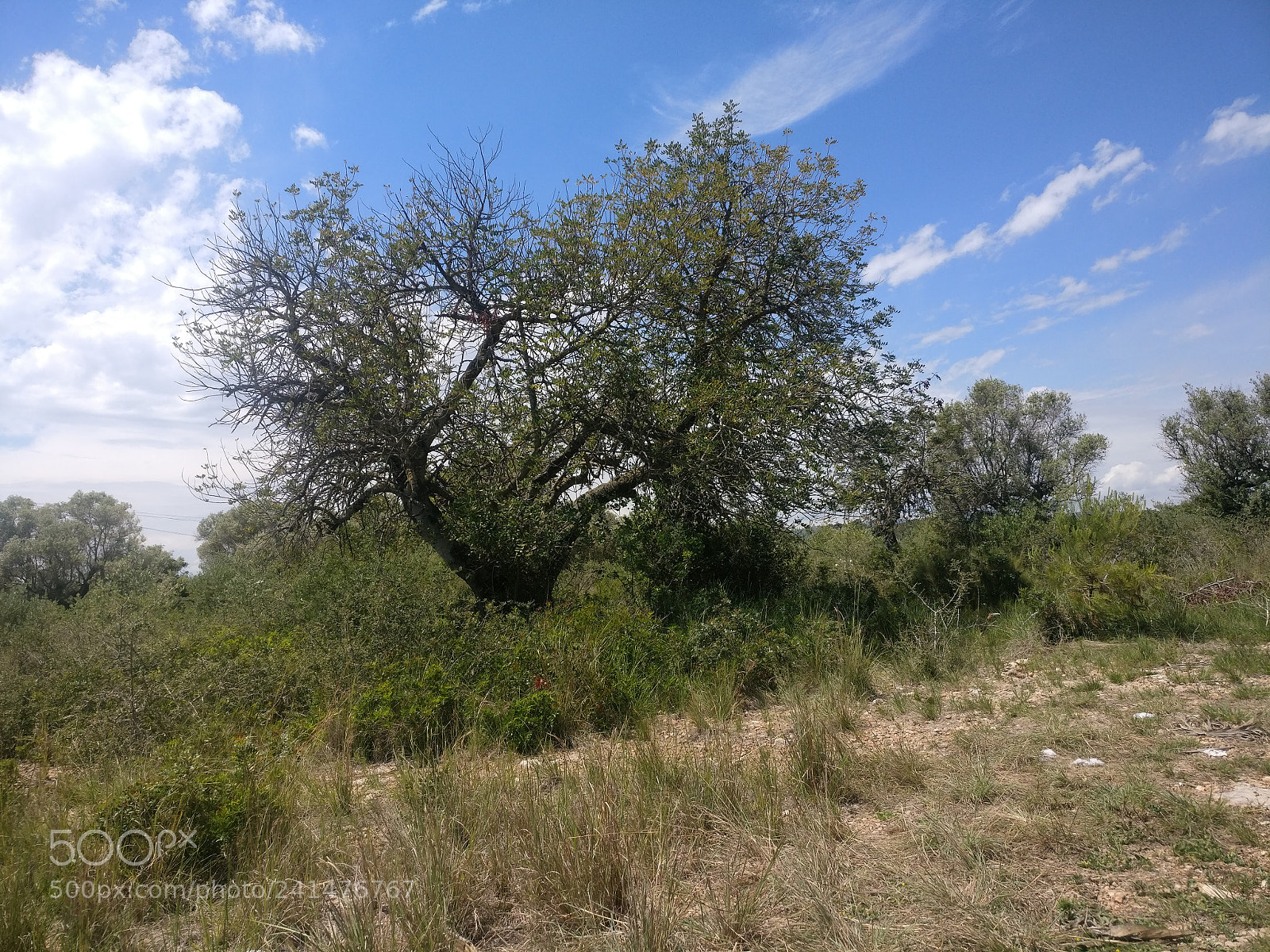 OnePlus A3003 sample photo. Img_20170518_143905.jpg photography