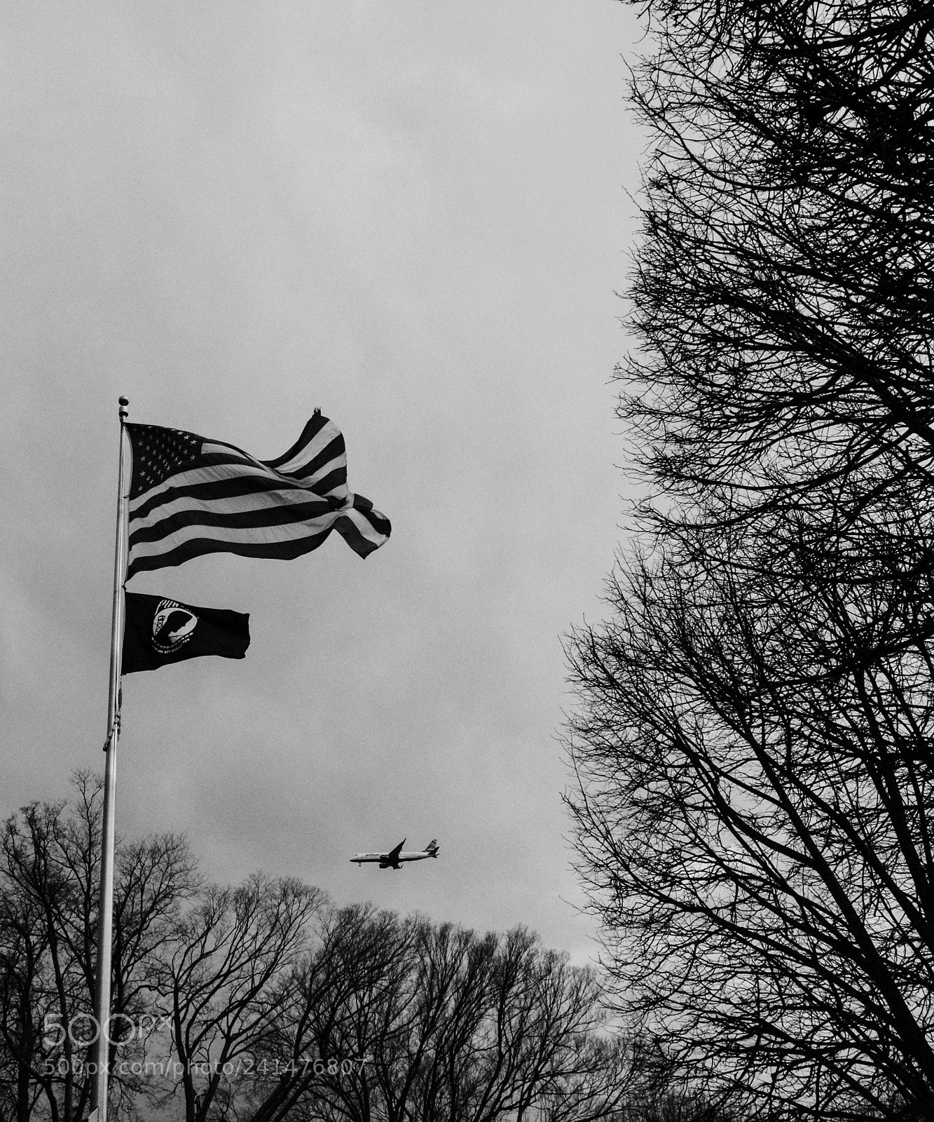 Nikon D7100 sample photo. Untitled photography