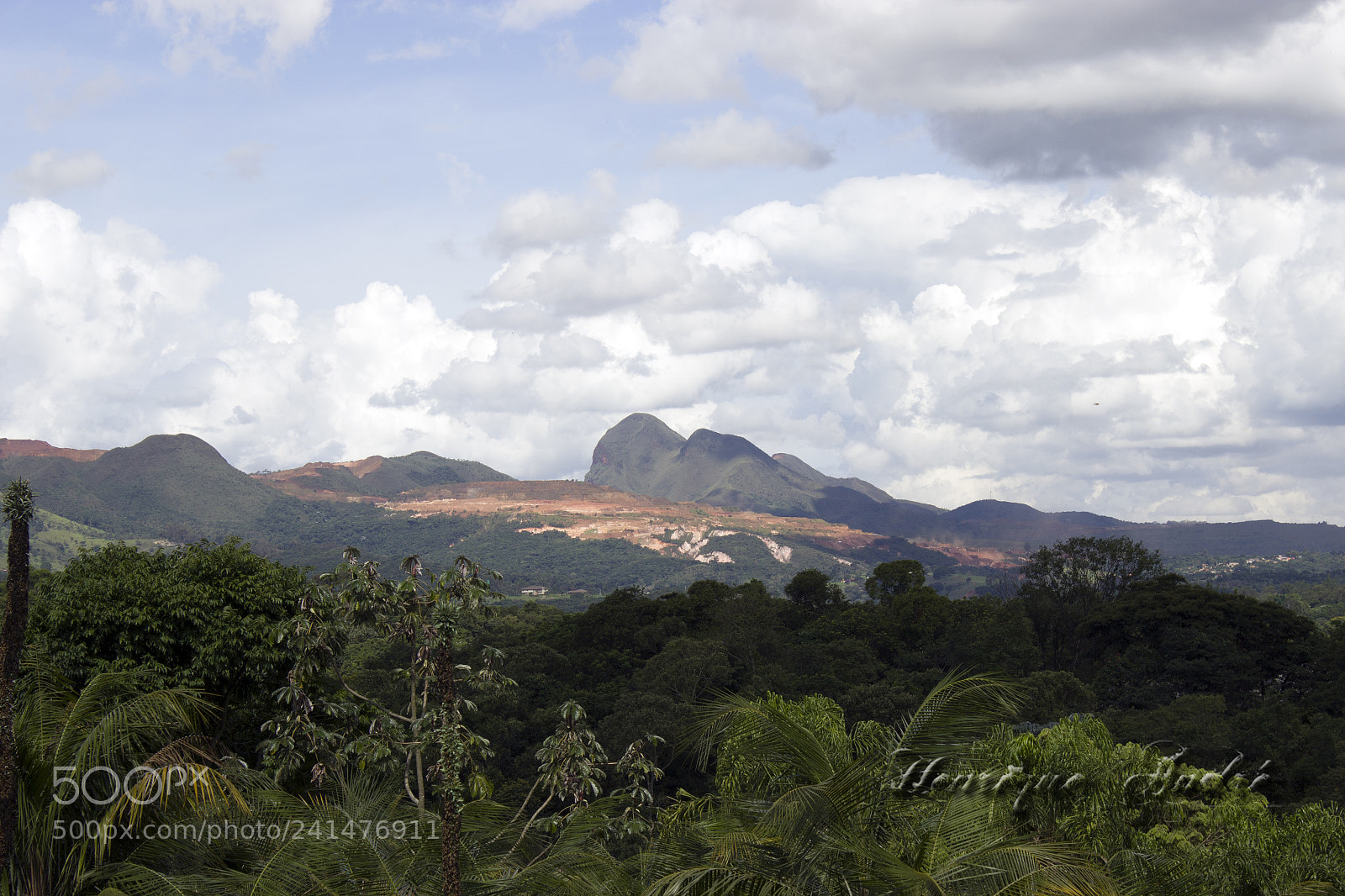 Canon EOS 600D (Rebel EOS T3i / EOS Kiss X5) sample photo. Flores photography
