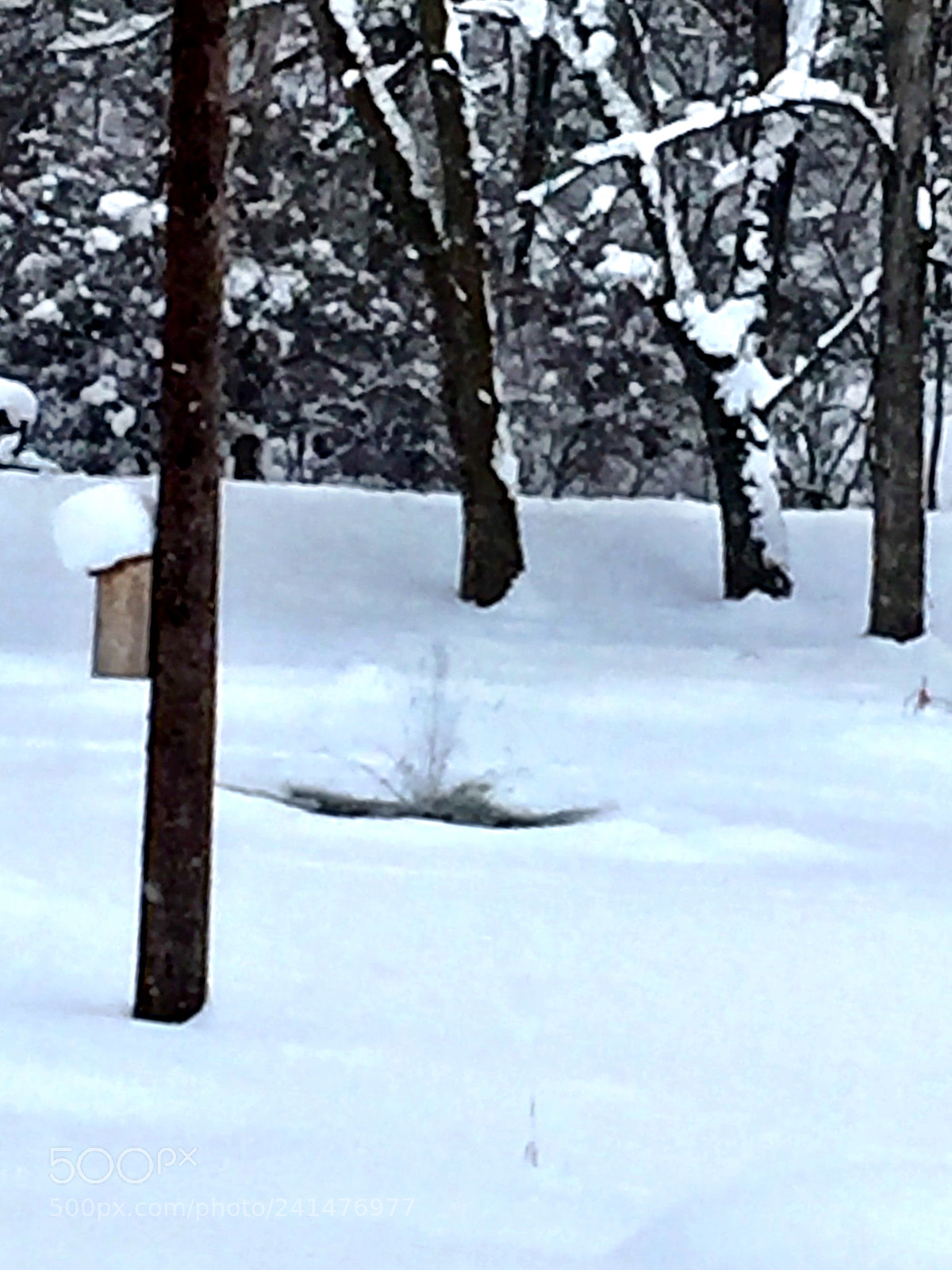 Apple iPhone 6 Plus sample photo. Winter fountain. photography
