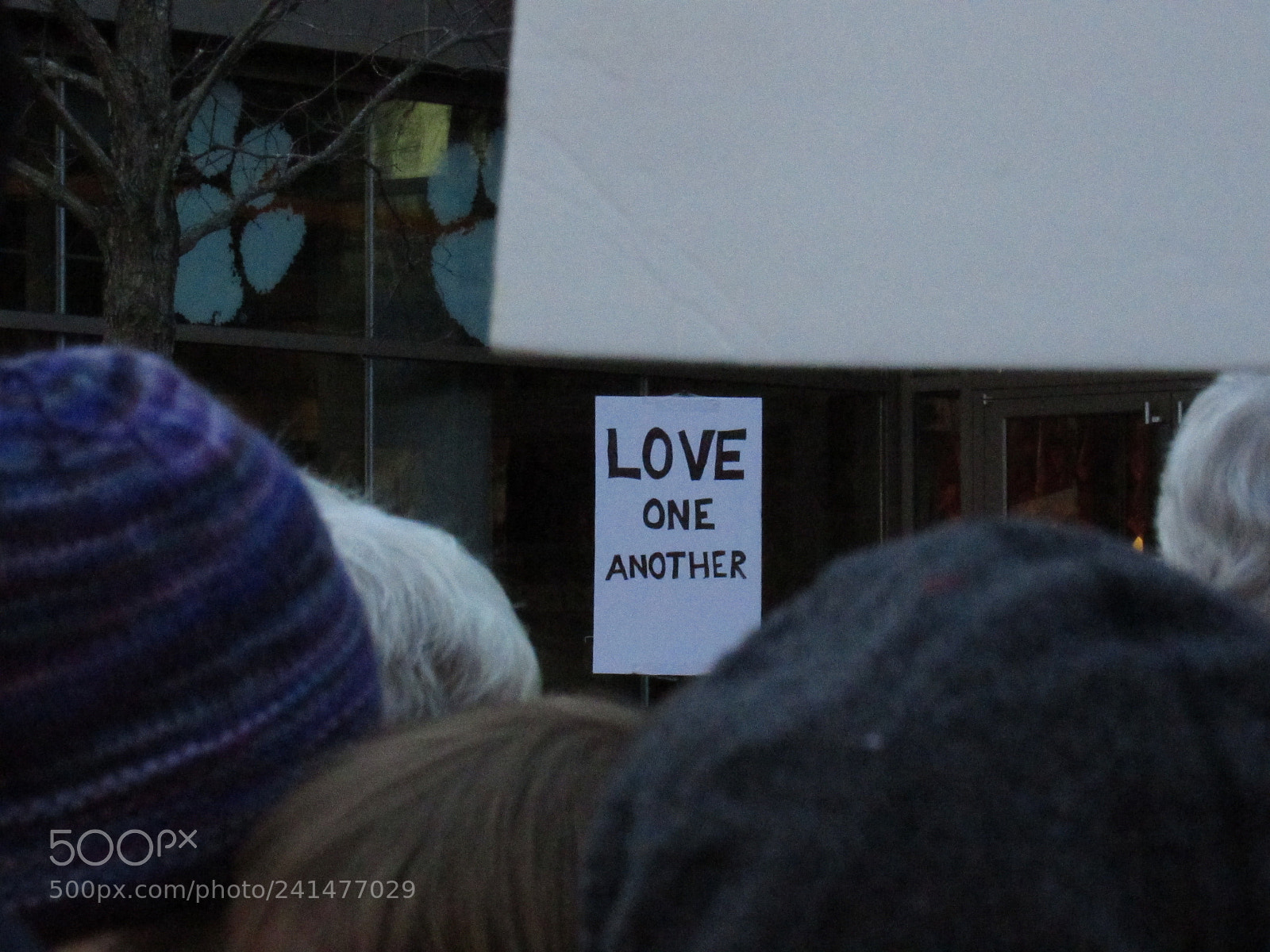 Canon PowerShot SX530 HS sample photo. Love wins photography