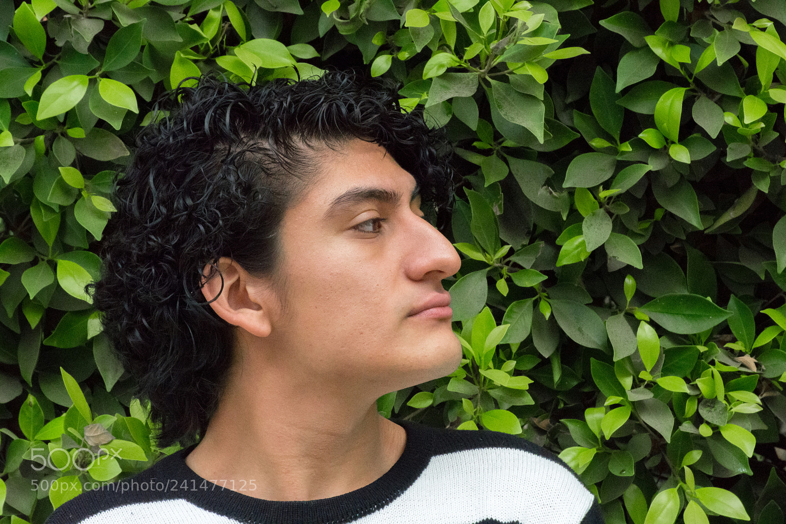 Nikon D7200 sample photo. Untitled photography