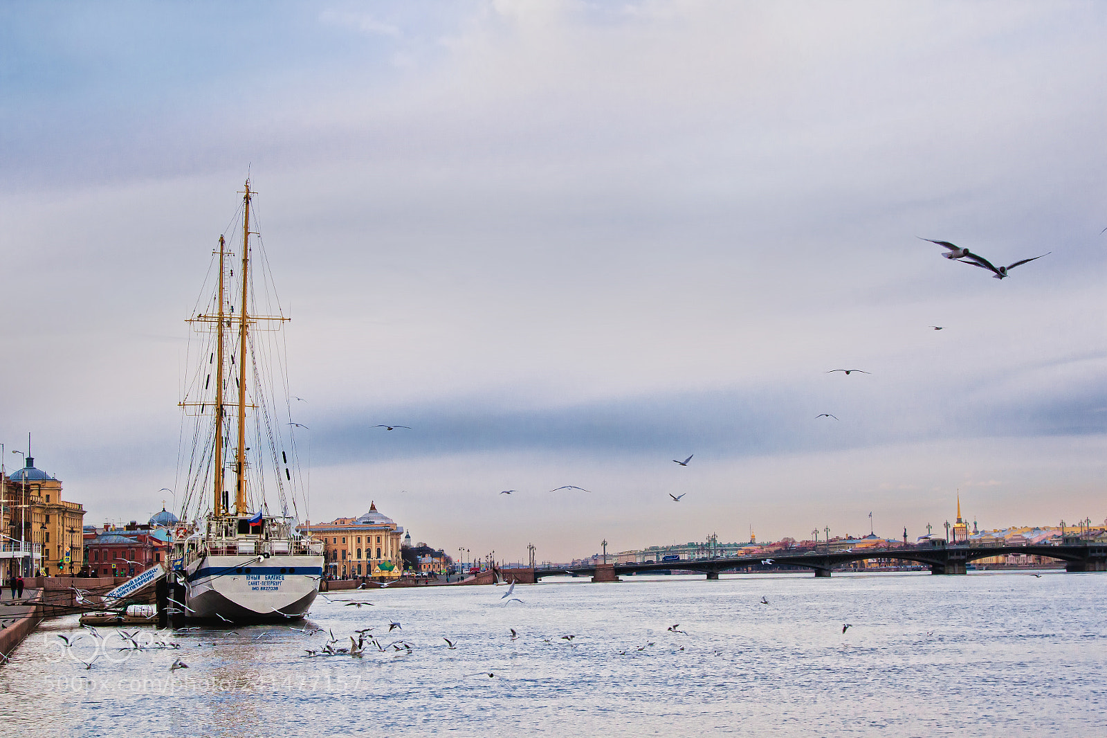Canon EOS 500D (EOS Rebel T1i / EOS Kiss X3) sample photo. Seagulls photography