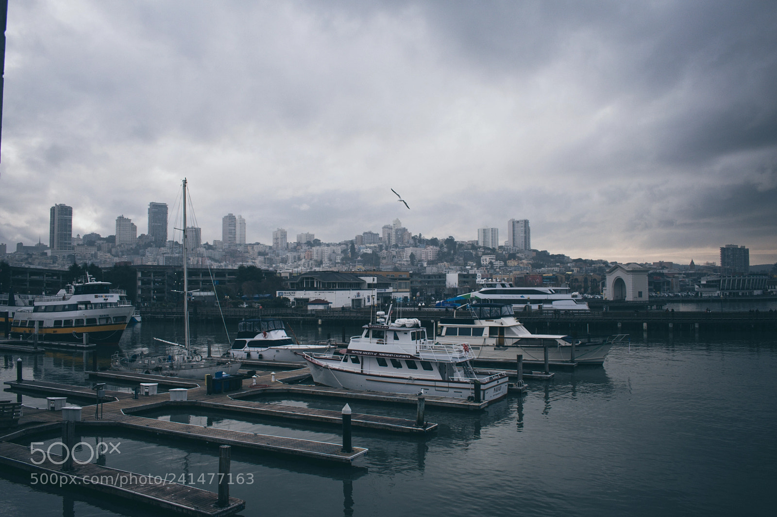 Nikon D3400 sample photo. Pier 39 photography