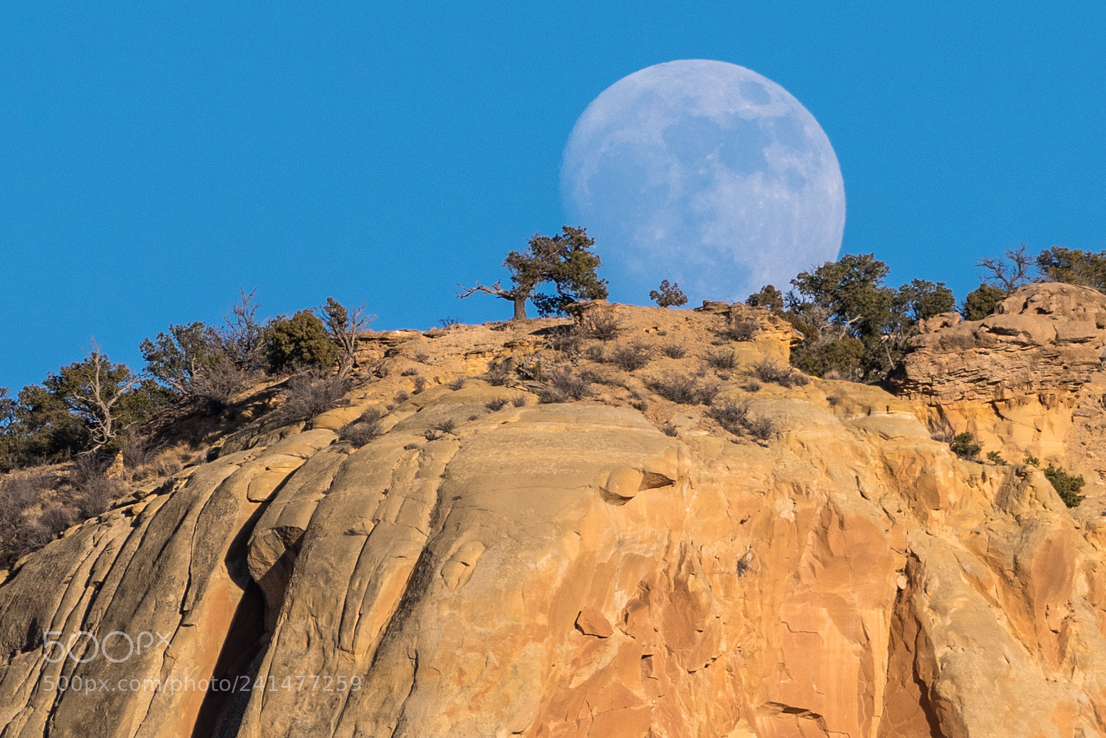 Nikon D500 sample photo. Supermoon photography