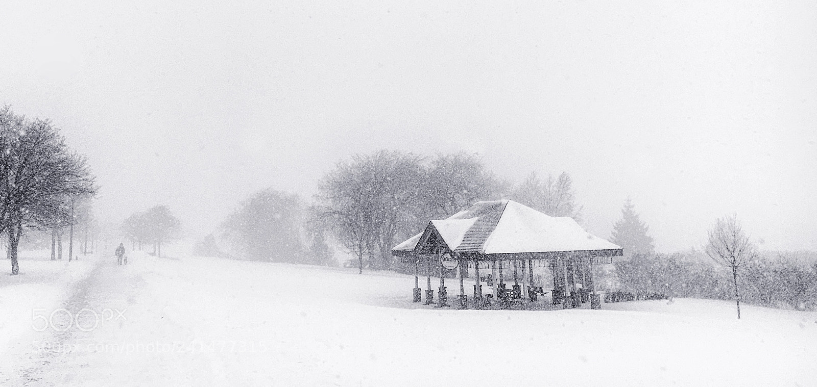 Apple iPhone 6s sample photo. Still snowing photography