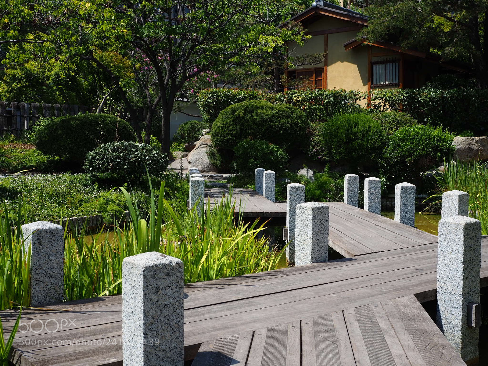 Olympus OM-D E-M10 II sample photo. Garden path in the photography